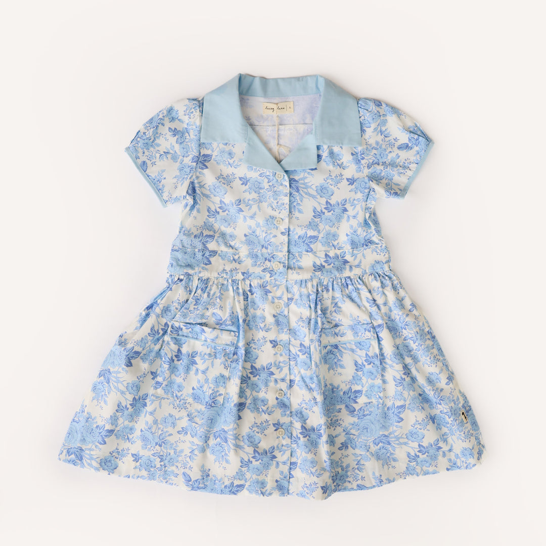 Avis Brother Dress