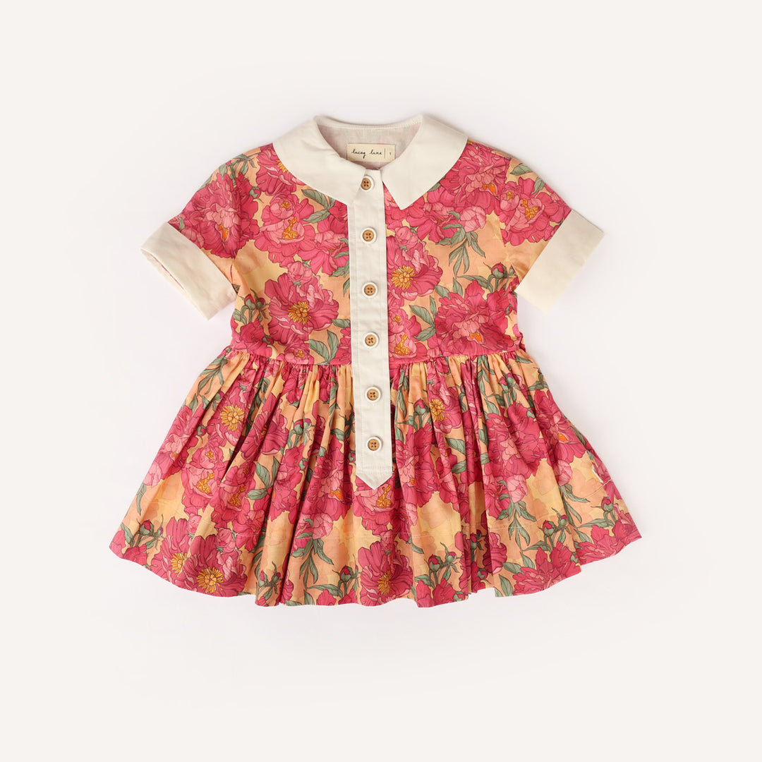 Shany Hopscotch Dress
