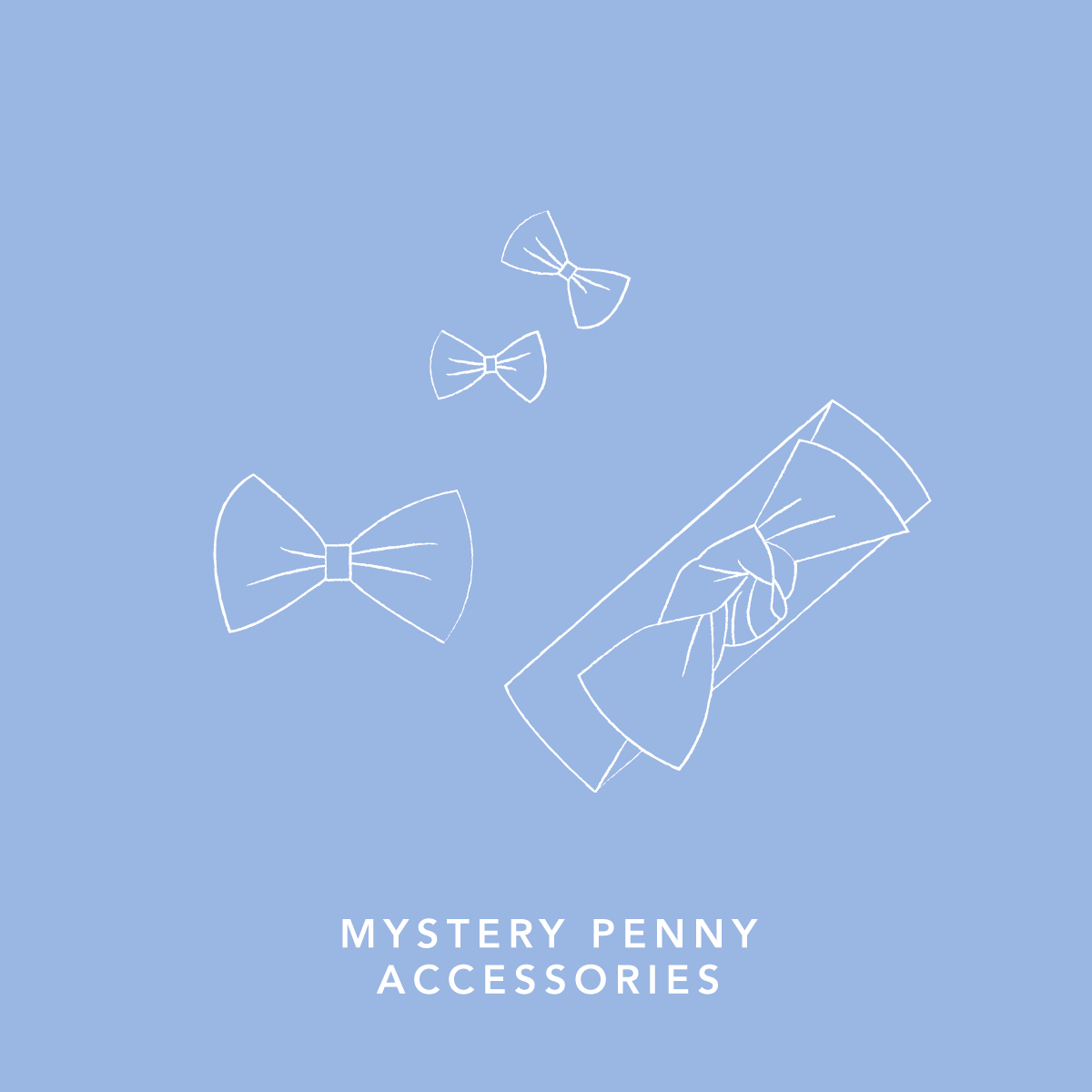 Mystery Penny Accessory Kit